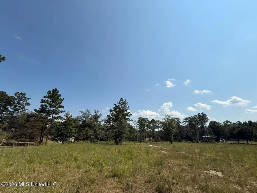 Cypress Place, Perkinston, MS 39573 - #2