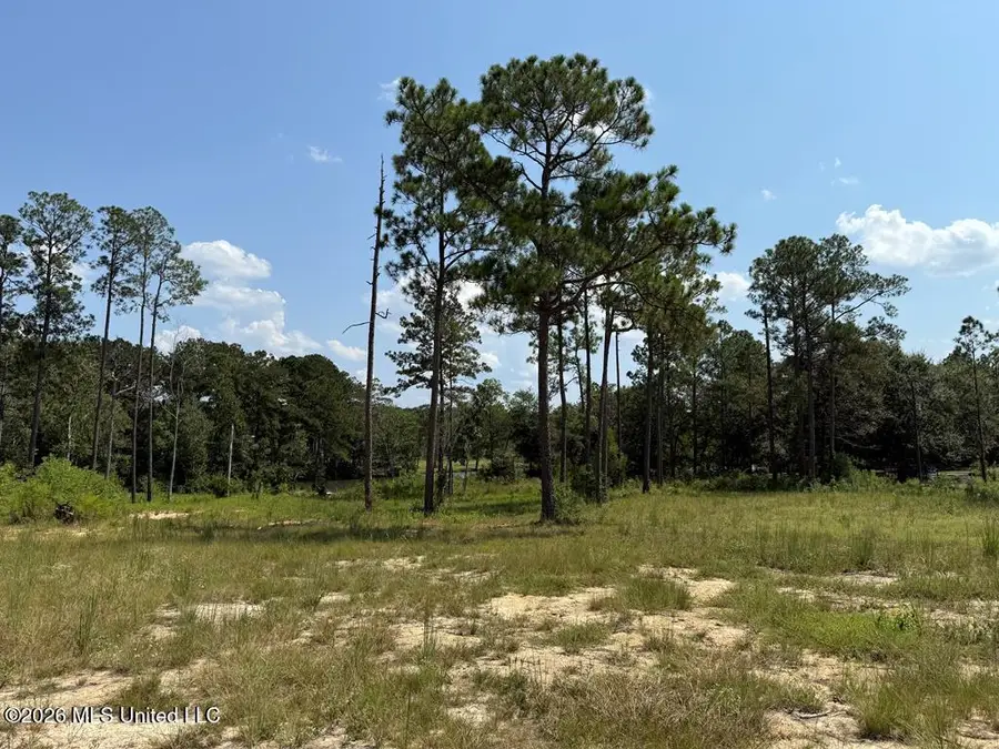Cypress Place, Perkinston, MS 39573 - #3