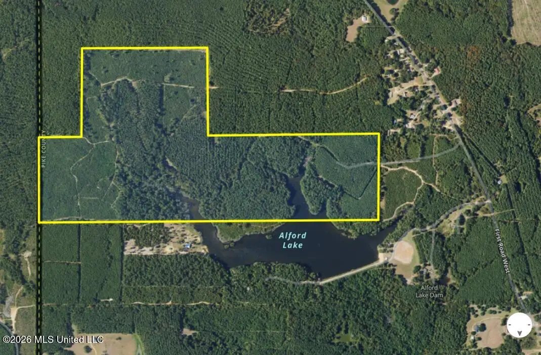 1107 Alford Lake Road, Osyka, MS 39657 - #1