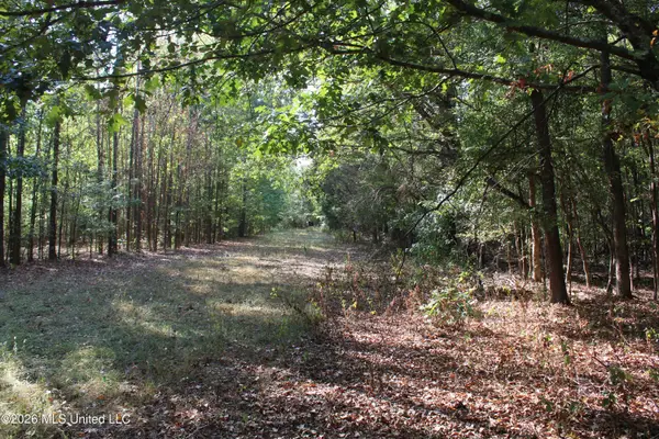 16 Tulane Road, Nesbit, MS 38651