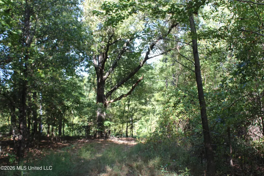 16 Tulane Road, Nesbit, MS 38651 - #3