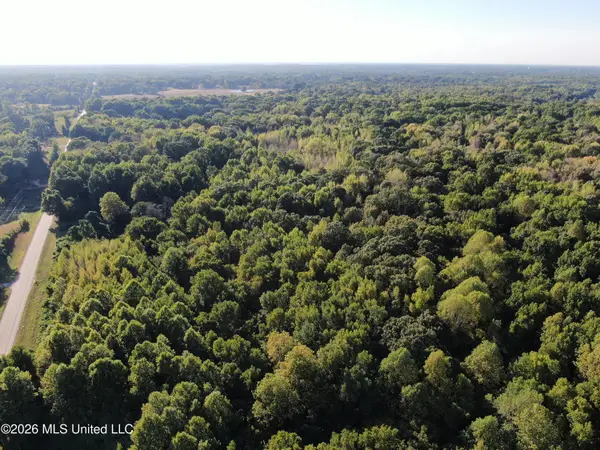 17 Star Landing Road, Nesbit, MS 38651