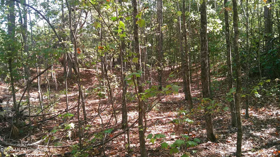Joiner Road, Batesville, MS 38606 - #2
