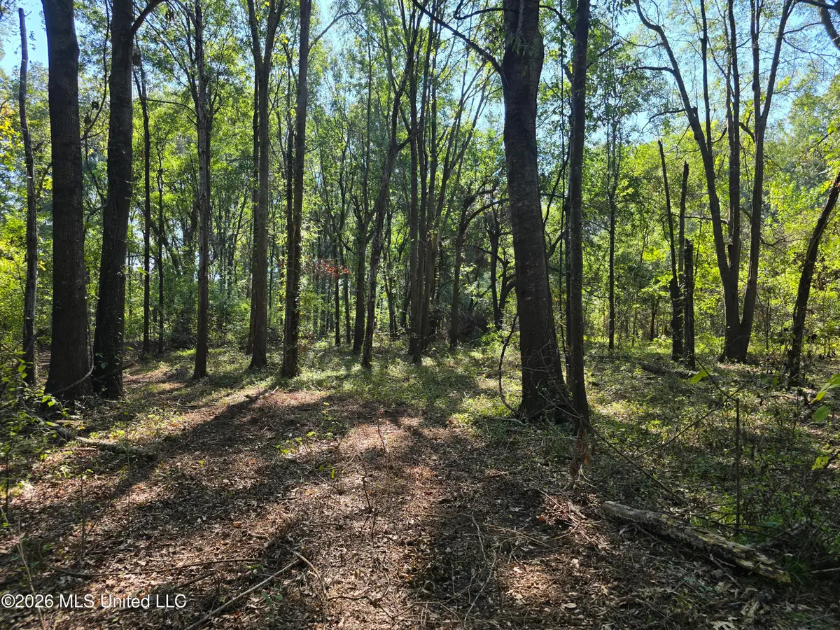 W Hwy 82, Greenville, MS 38701 - #1