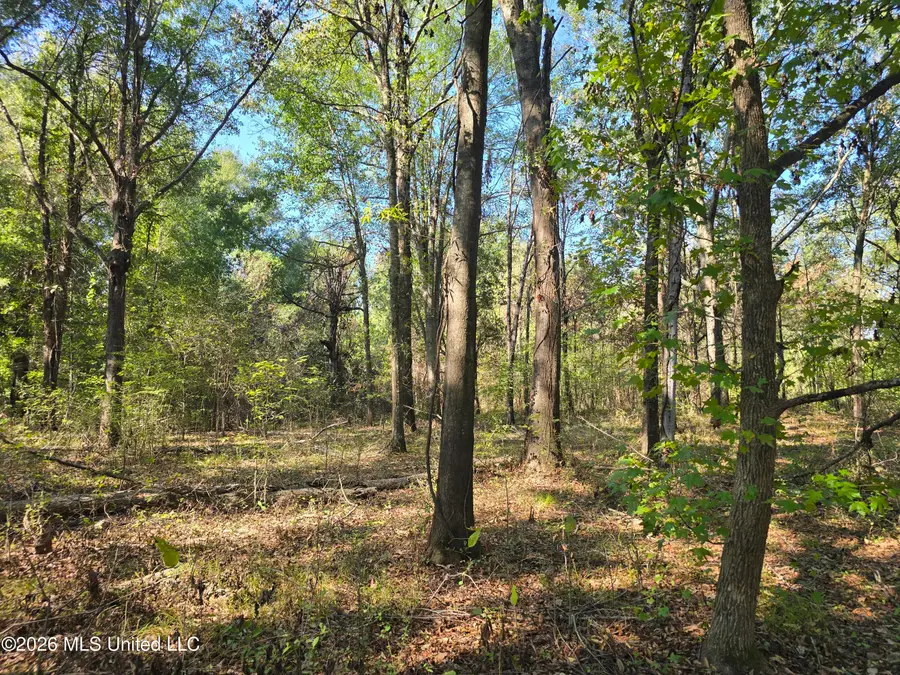 W Hwy 82, Greenville, MS 38701 - #3