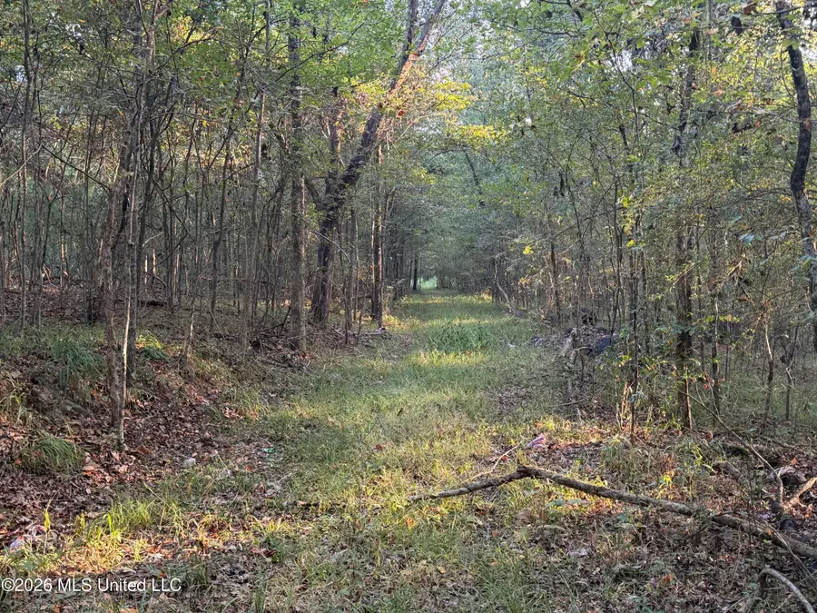 NW Poplar Hill Road, Fayette, MS 39069 - #2