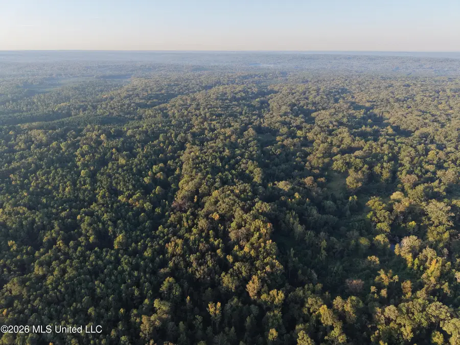 NW Poplar Hill Road, Fayette, MS 39069 - #3