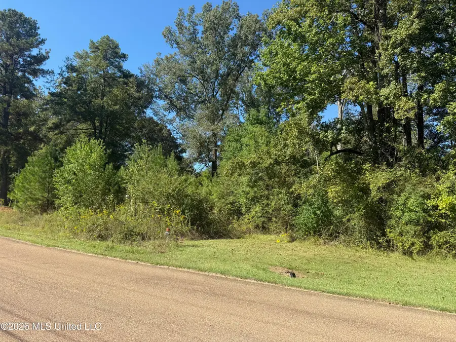 Owens Oak Drive, Jackson, MS 39212 - #2