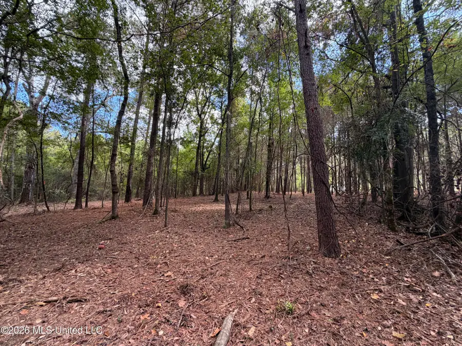001 U.s. 80, Pearl, MS 39208 - #3