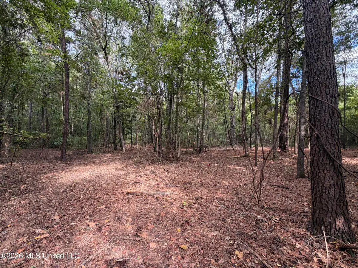 5220 E Highway 80, Pearl, MS 39208 - #1