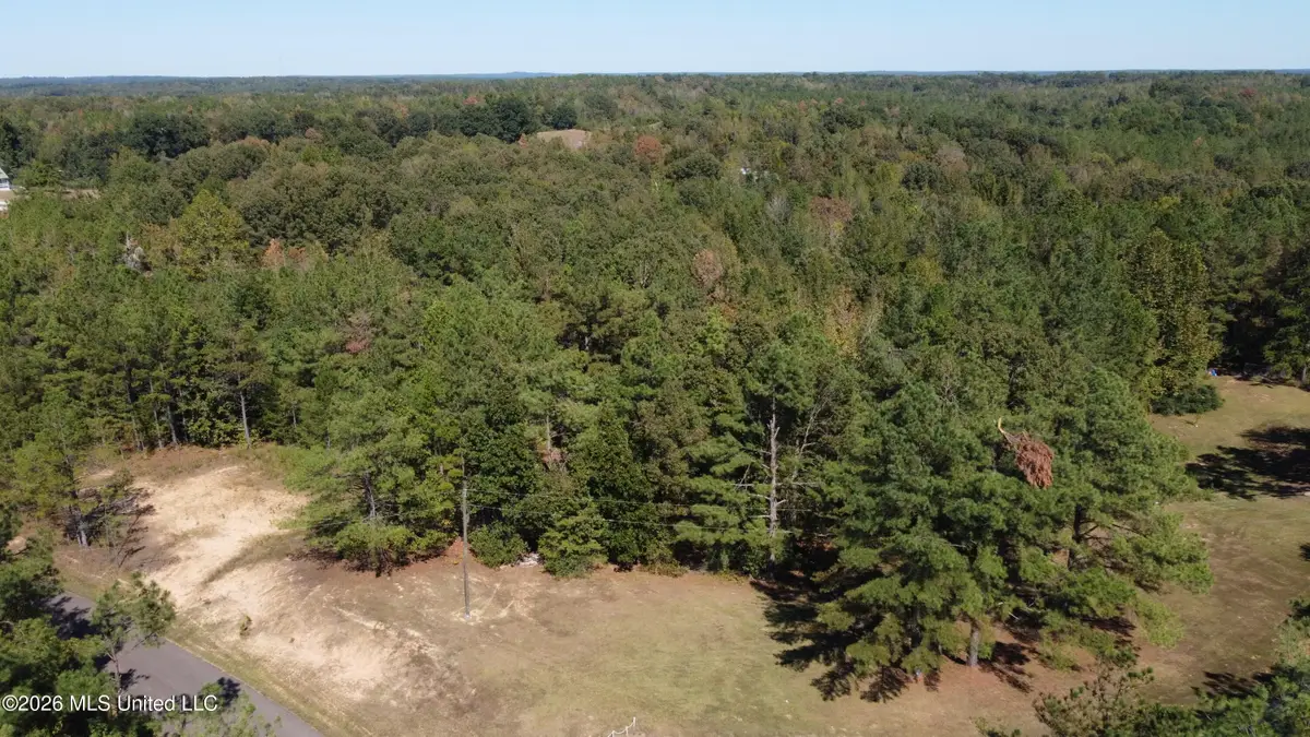 Jeffries Road, Potts Camp, MS 38659 - #1