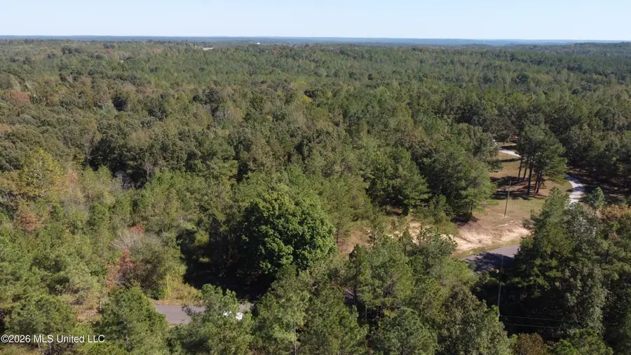 Jeffries Road, Potts Camp, MS 38659 - #3