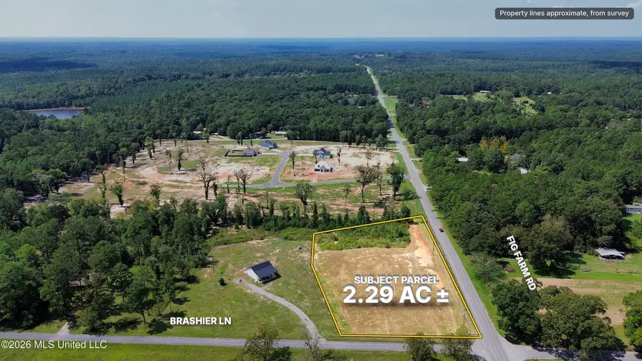 Nsn Fig Farm Road, Lucedale, MS 39452 - #2