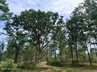 157 Ms-310, Como, MS 38619 - #3
