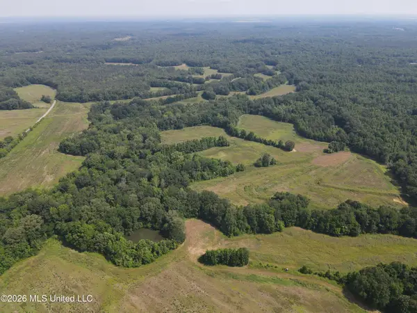 Old Port Gibson Road, Utica, MS 39175