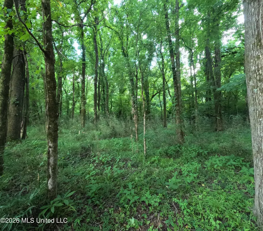 Old Port Gibson Road, Utica, MS 39175 - #3