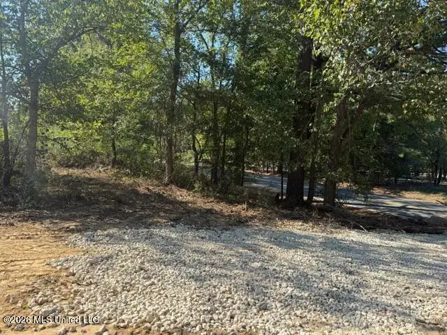 Lot 1 Slocum Road, Hernando, MS 38632 - #2