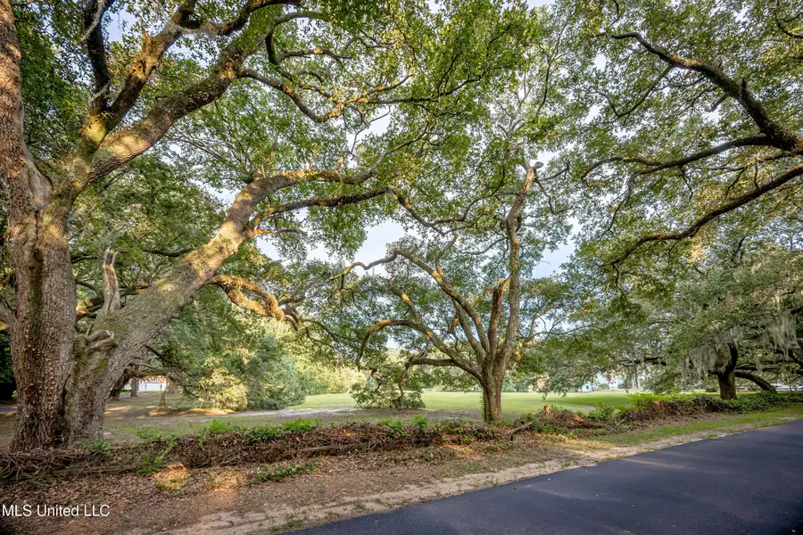 Lot 7 Pointe Aux Chenes, Ocean Springs, MS 39564 - #2