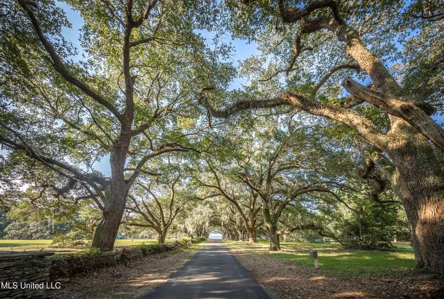Lot 8 Pointe Aux Chenes, Ocean Springs, MS 39564 - #3