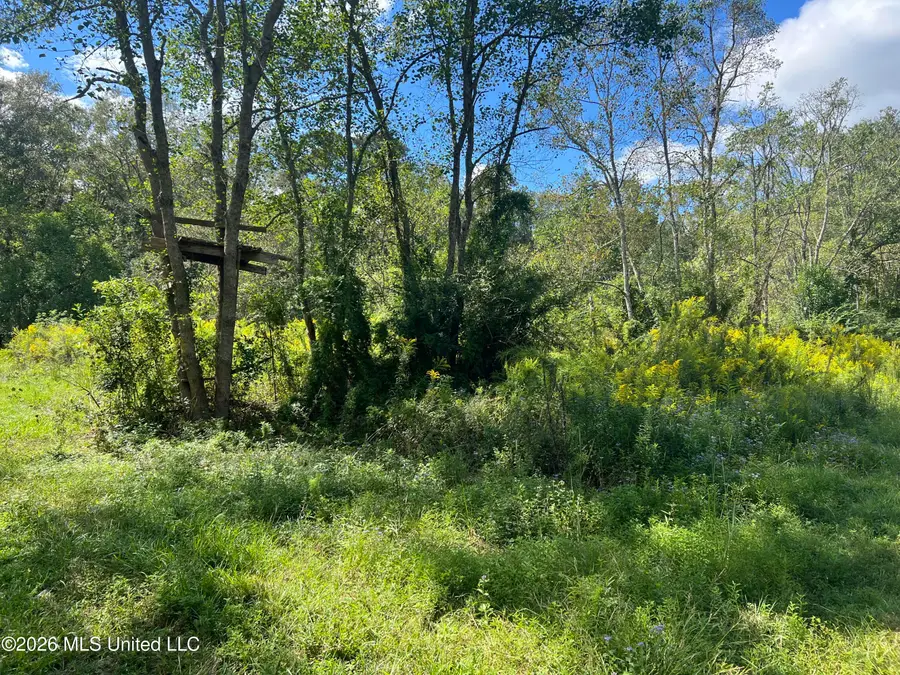 37 Horace E Mitchell Road, Picayune, MS 39466 - #3