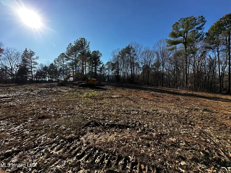 6131 Curbo Lane, Olive Branch, MS 38654 - #3