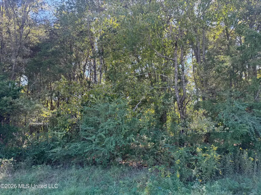 Memorial Dr Avenue, Flora, MS 39071 - #2