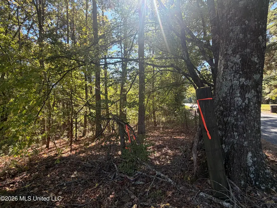 Brownlee Road, Senatobia, MS 38668 - #2