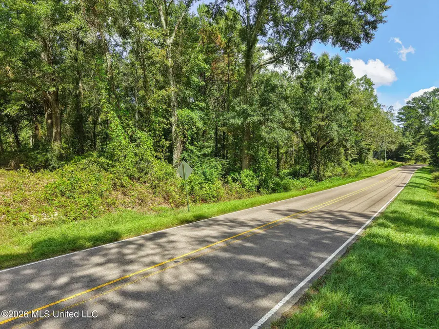 0000 Purvis To Baxterville Road, Purvis, MS 39475 - #2