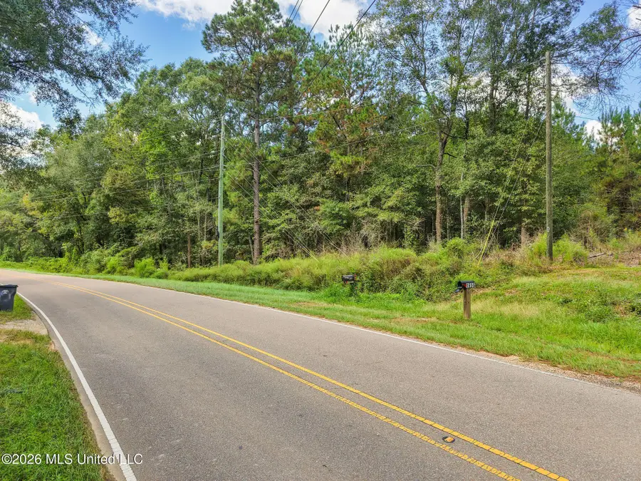 0000 Purvis To Baxterville Road, Purvis, MS 39475 - #3
