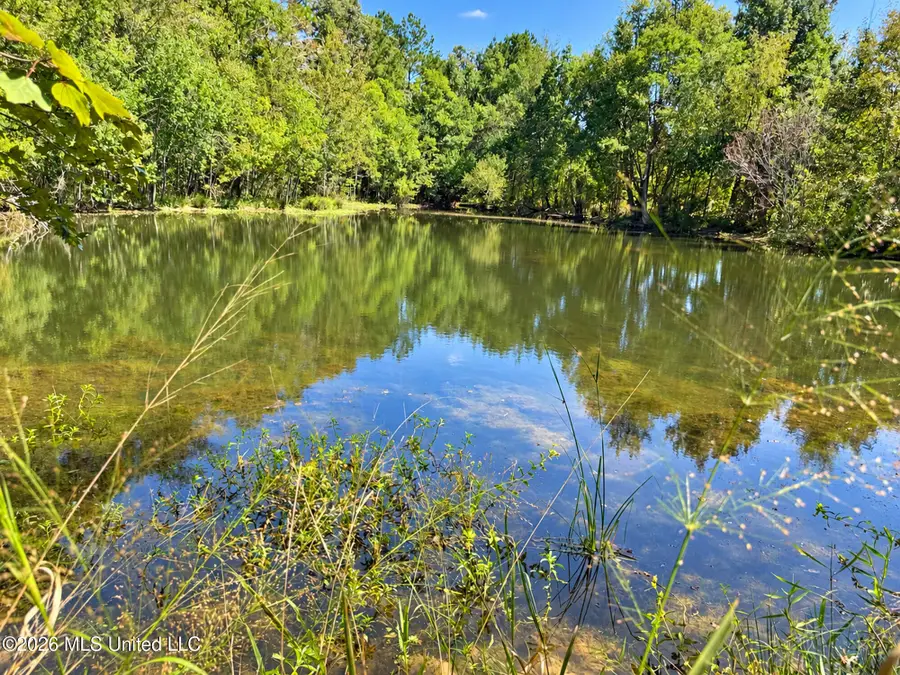 12 Bud Elliot Subdivision, Purvis, MS 39475 - #2
