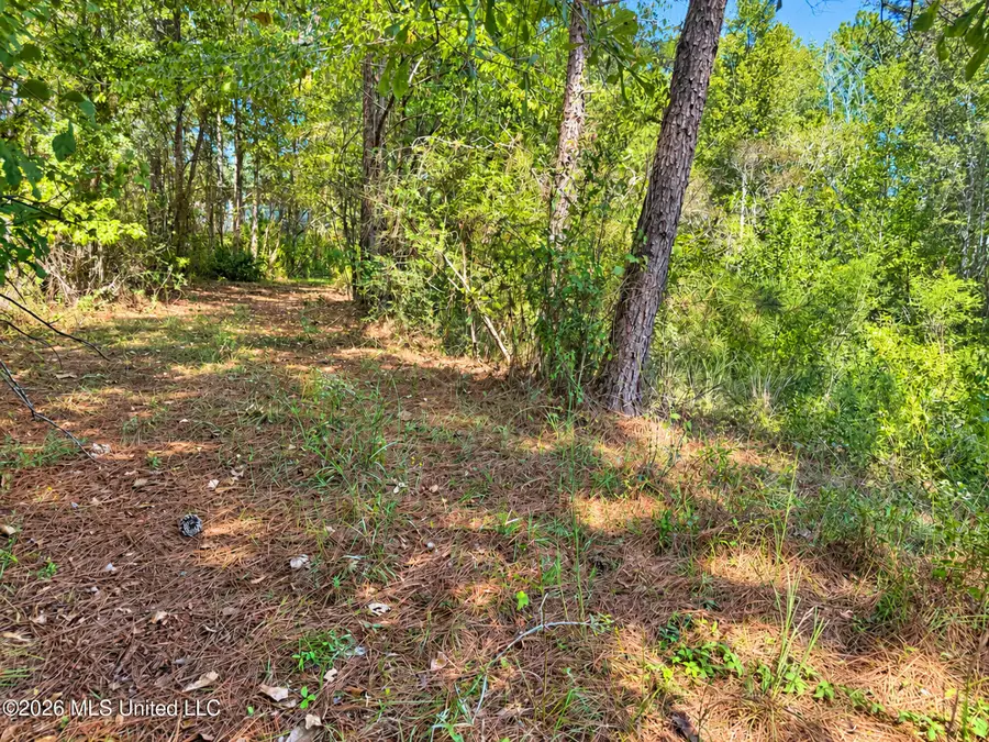 12 Bud Elliot Subdivision, Purvis, MS 39475 - #3