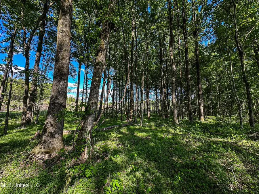 001 County Road 433, Thaxton, MS 38871 - #3