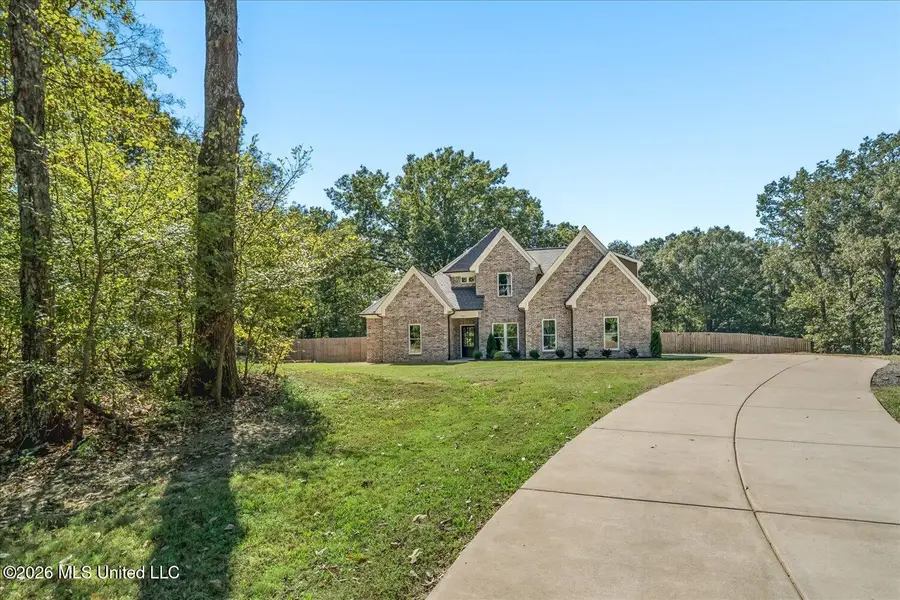 9921 Anderson Drive, Olive Branch, MS 38654 - #2