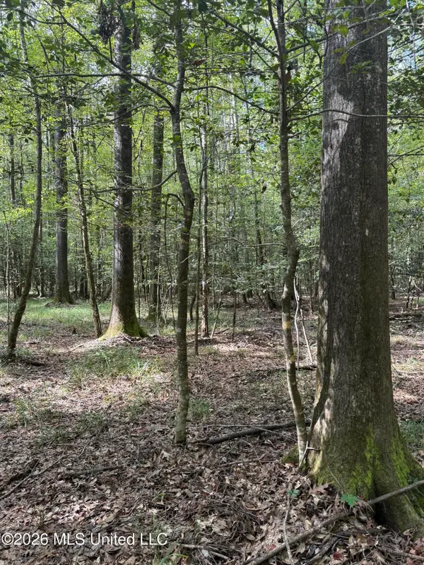 Co Rd 5216, Kosciusko, MS 39090