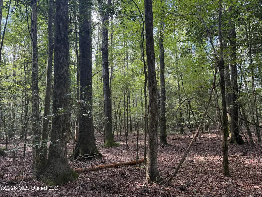 Co Rd 5216, Kosciusko, MS 39090 - #2