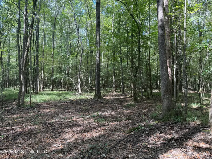 Co Rd 5216, Kosciusko, MS 39090 - #3