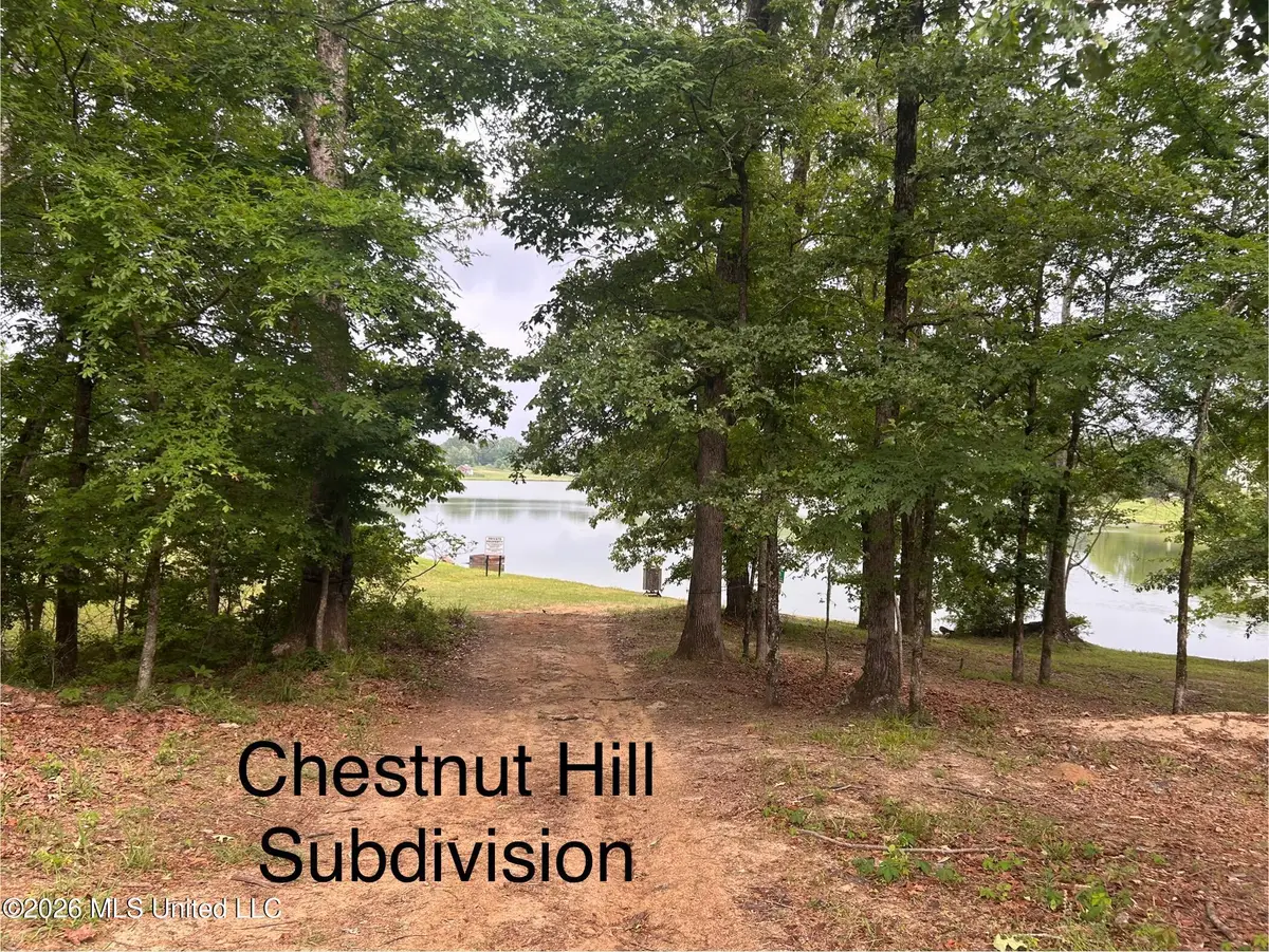 Chestnut Hill Pt, Flora, MS 39071 - #1