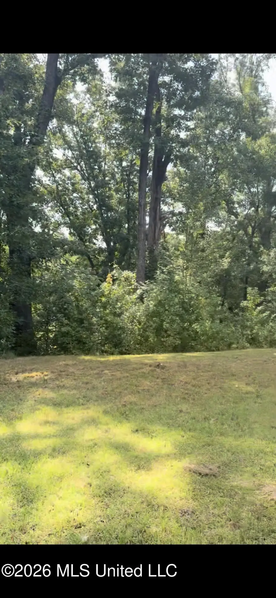 12063 Ms-178, Olive Branch, MS 38654 - #2
