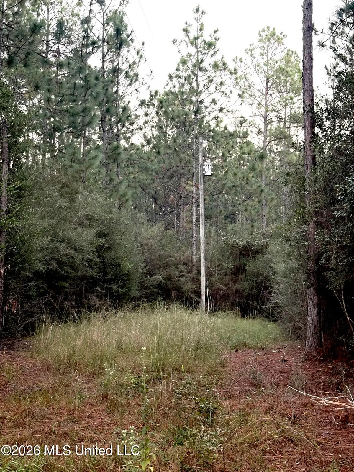 16512 Scotch Pine Drive, Vancleave, MS 39565 - #1