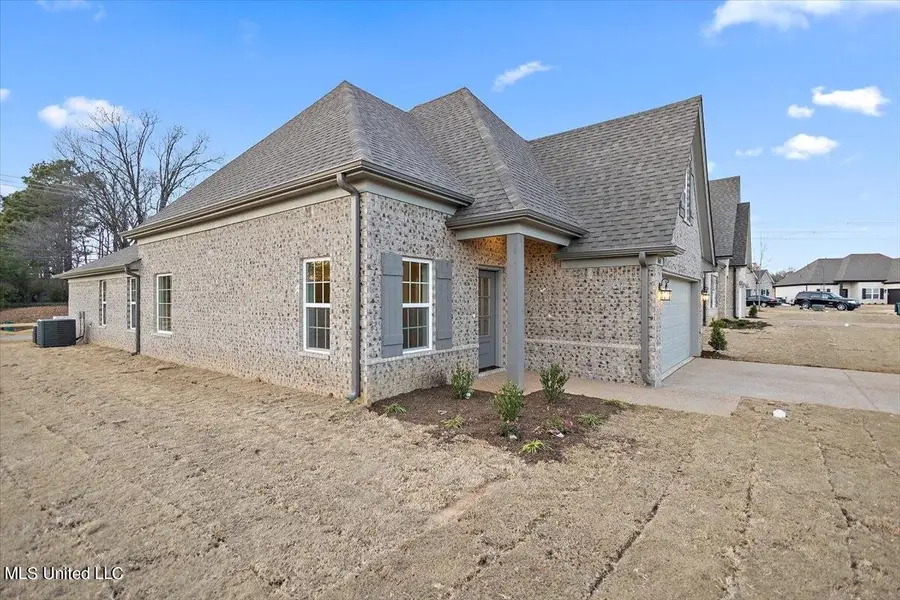 13758 Molly Madeline Lane, Olive Branch, MS 38654 - #3