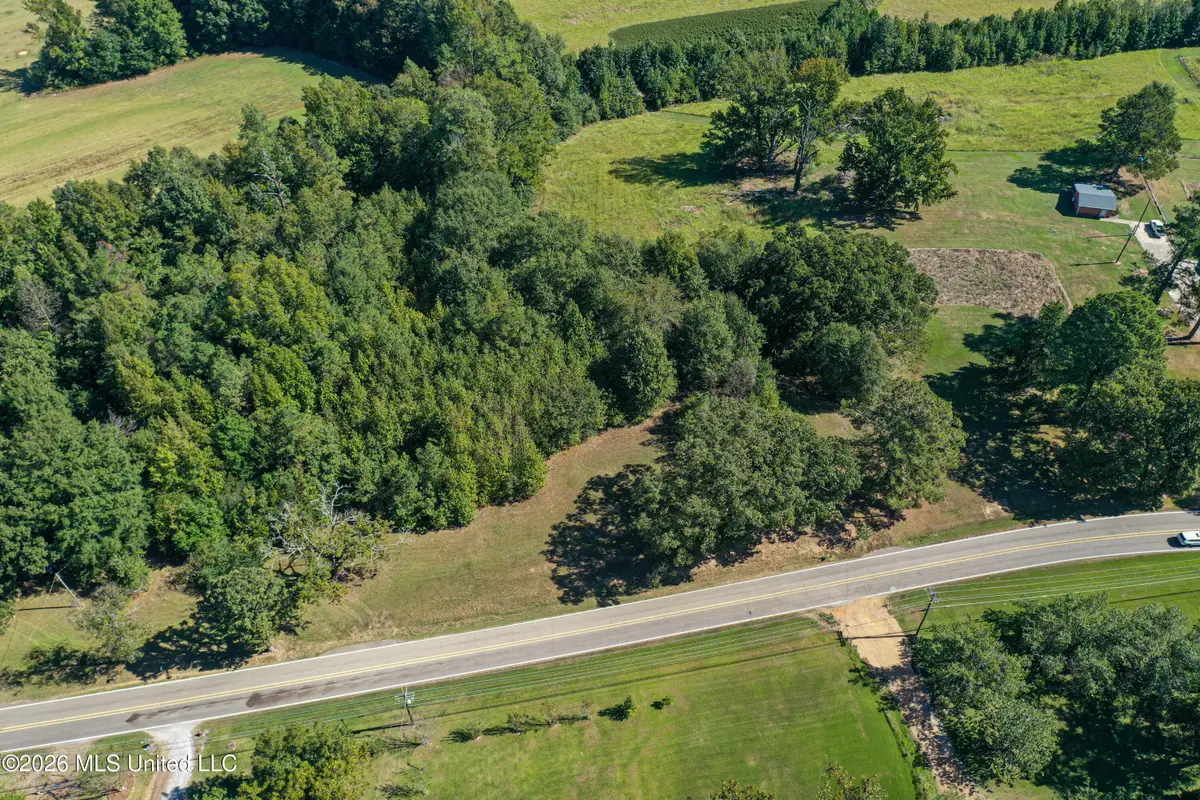 Maben Starkville Road, Maben, MS 39750 - #1