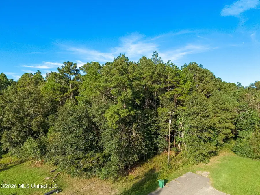 0 Williamsburg Rd Road, Picayune, MS 39466 - #2