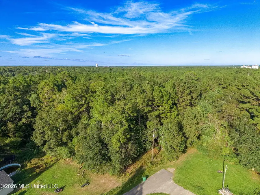 0 Williamsburg Rd Road, Picayune, MS 39466 - #3