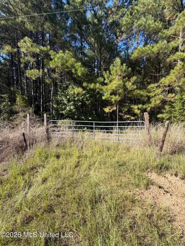 Coons Mill Road, Centreville, MS 39631
