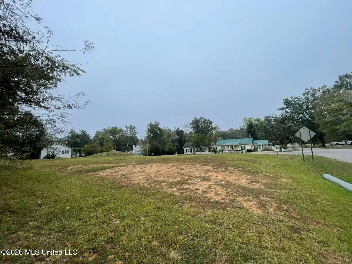 W Meiggs Street, Iuka, MS 38852 - #1