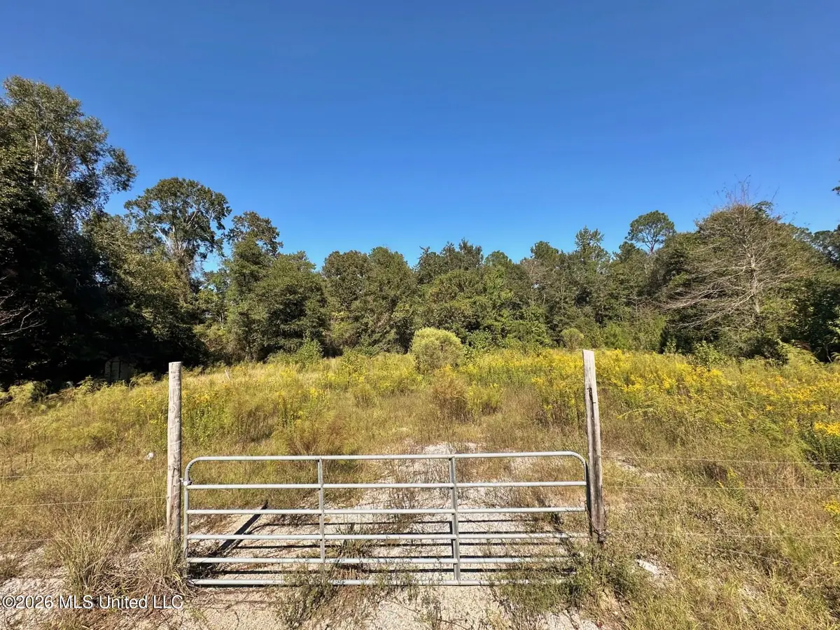 1ac Highway 198, Beaumont, MS 39423 - #1