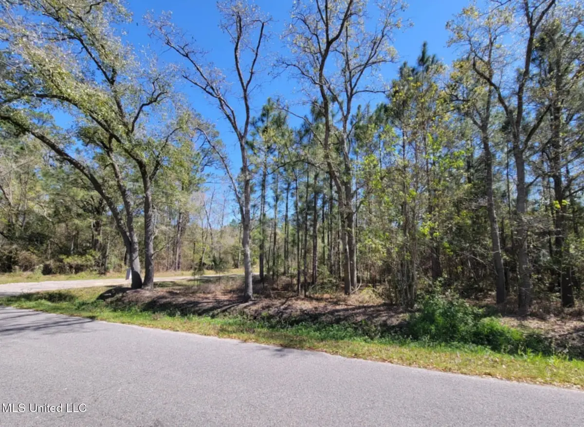 000 Red Street, Bay Saint Louis, MS 39520 - #1
