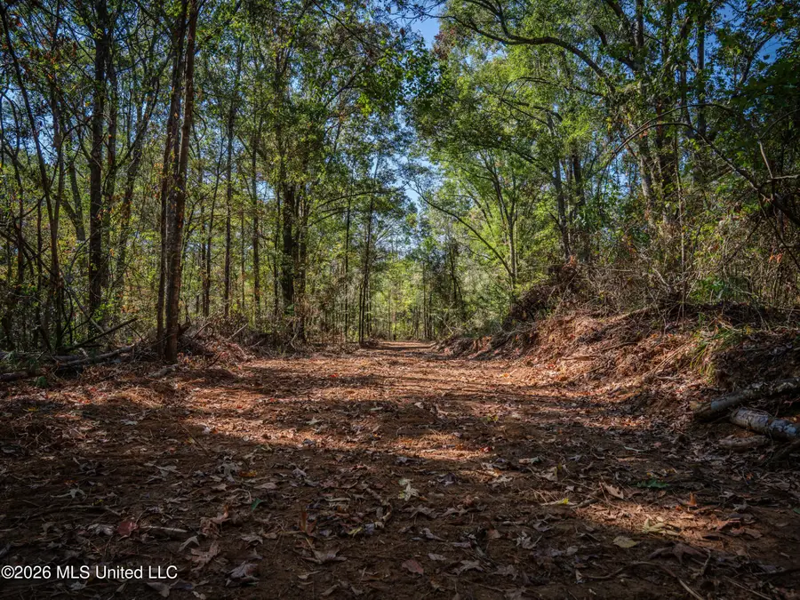 Billy Fields Rd, Edwards, MS 39066 - #2