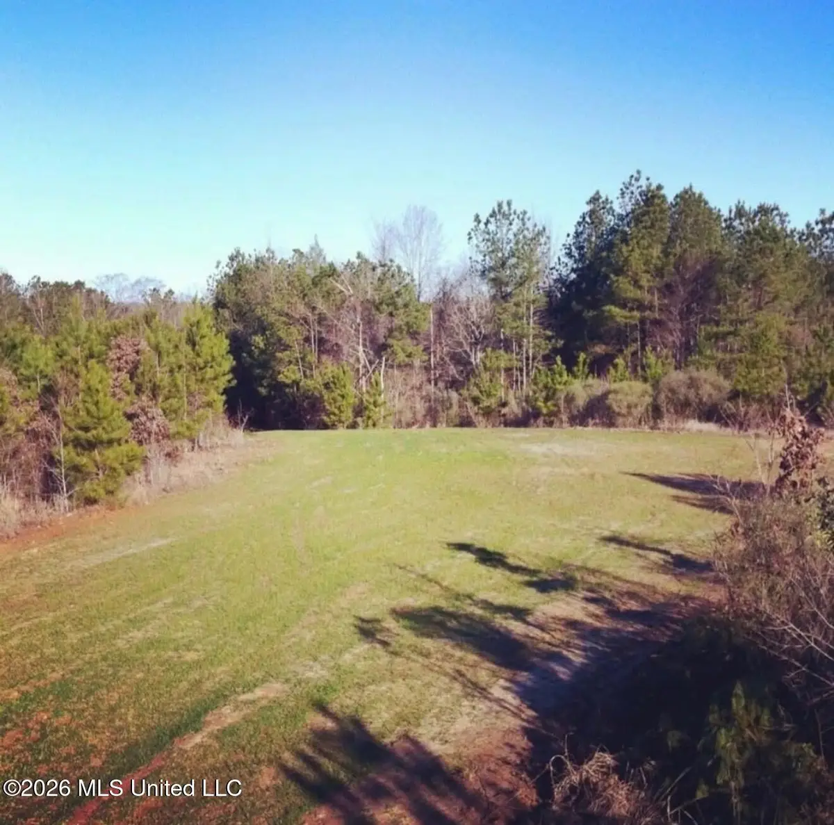 Rocky Point Road, Carthage, MS 39051 - #1