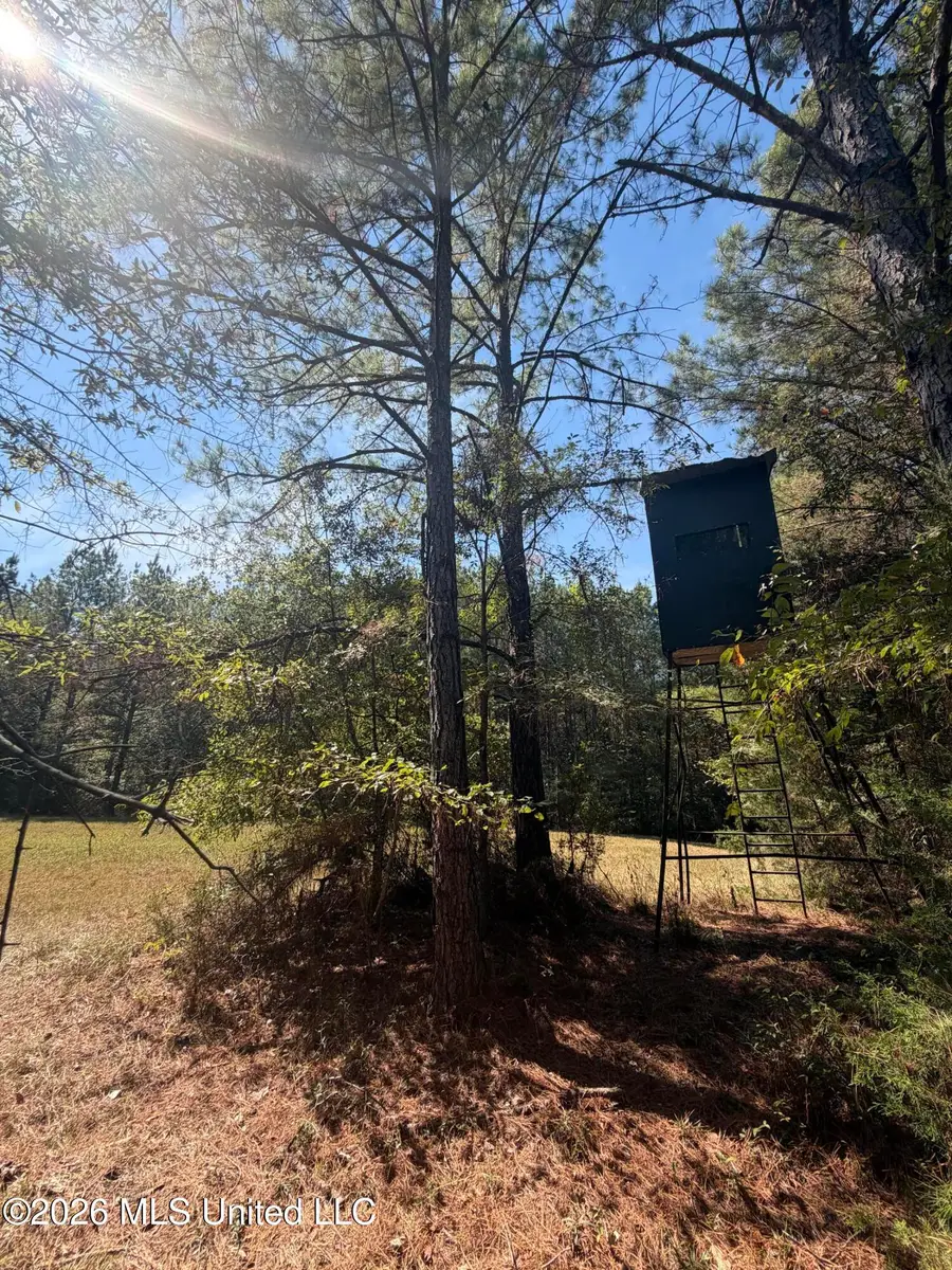 Rocky Point Road, Carthage, MS 39051 - #2